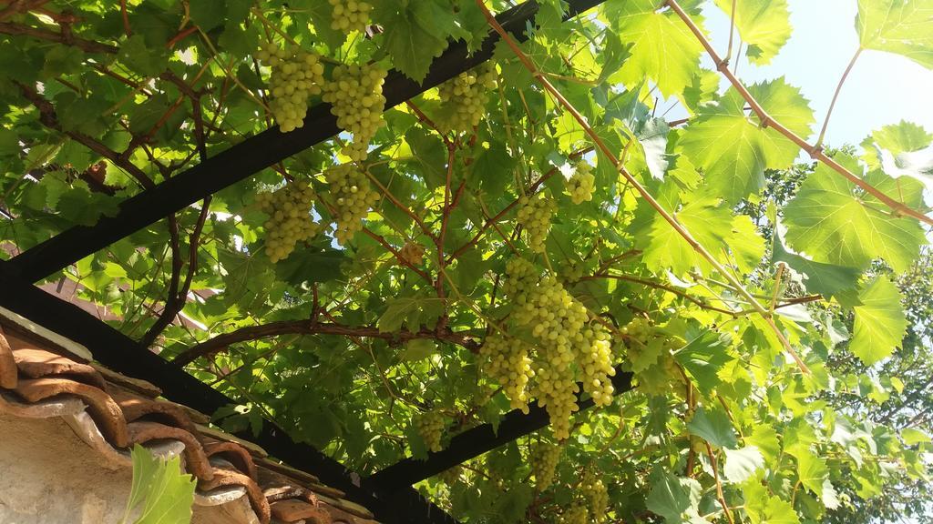 Villa Nasco Zlatni pjasătsi Eksteriør bilde